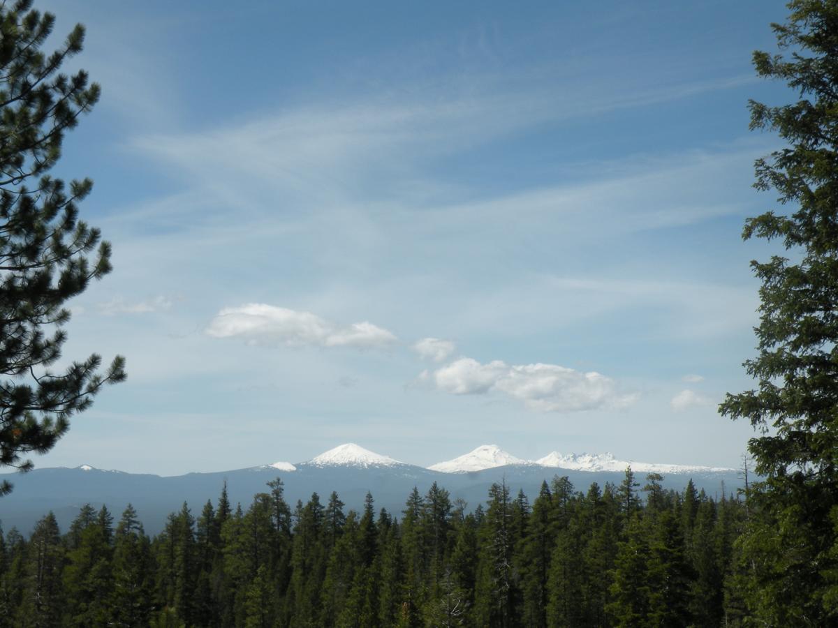 Cozy Cabin Lapine La Pine Rum bild