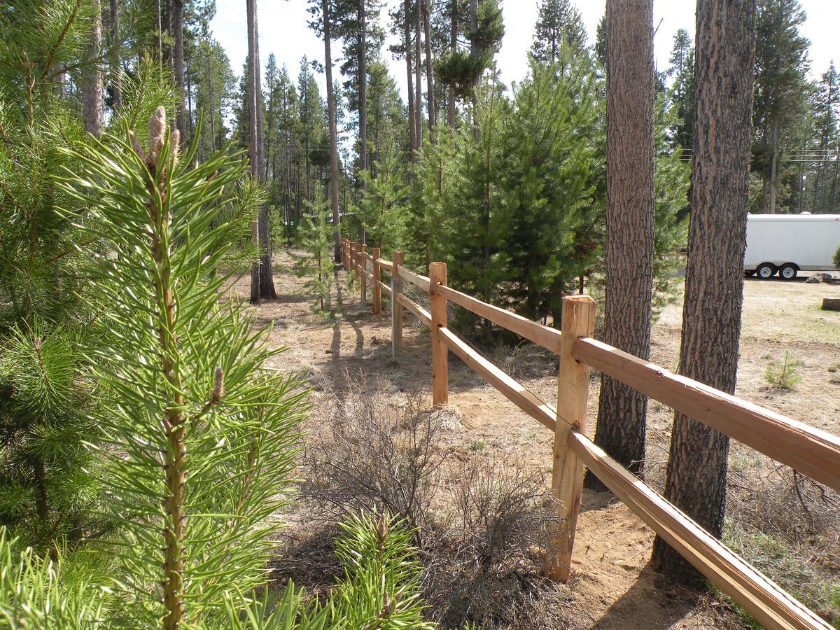 Cozy Cabin Lapine La Pine Rum bild